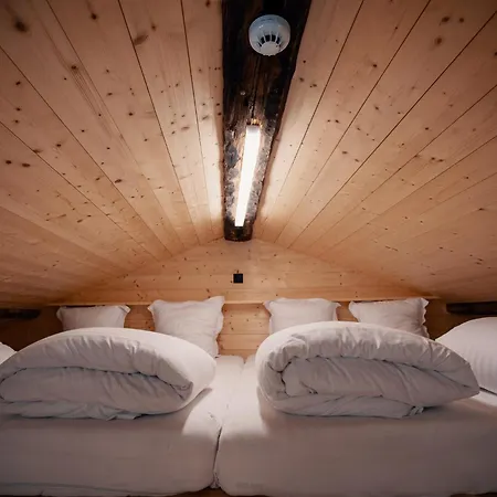 Hotel Le Mayen De Colombire Crans-Montana